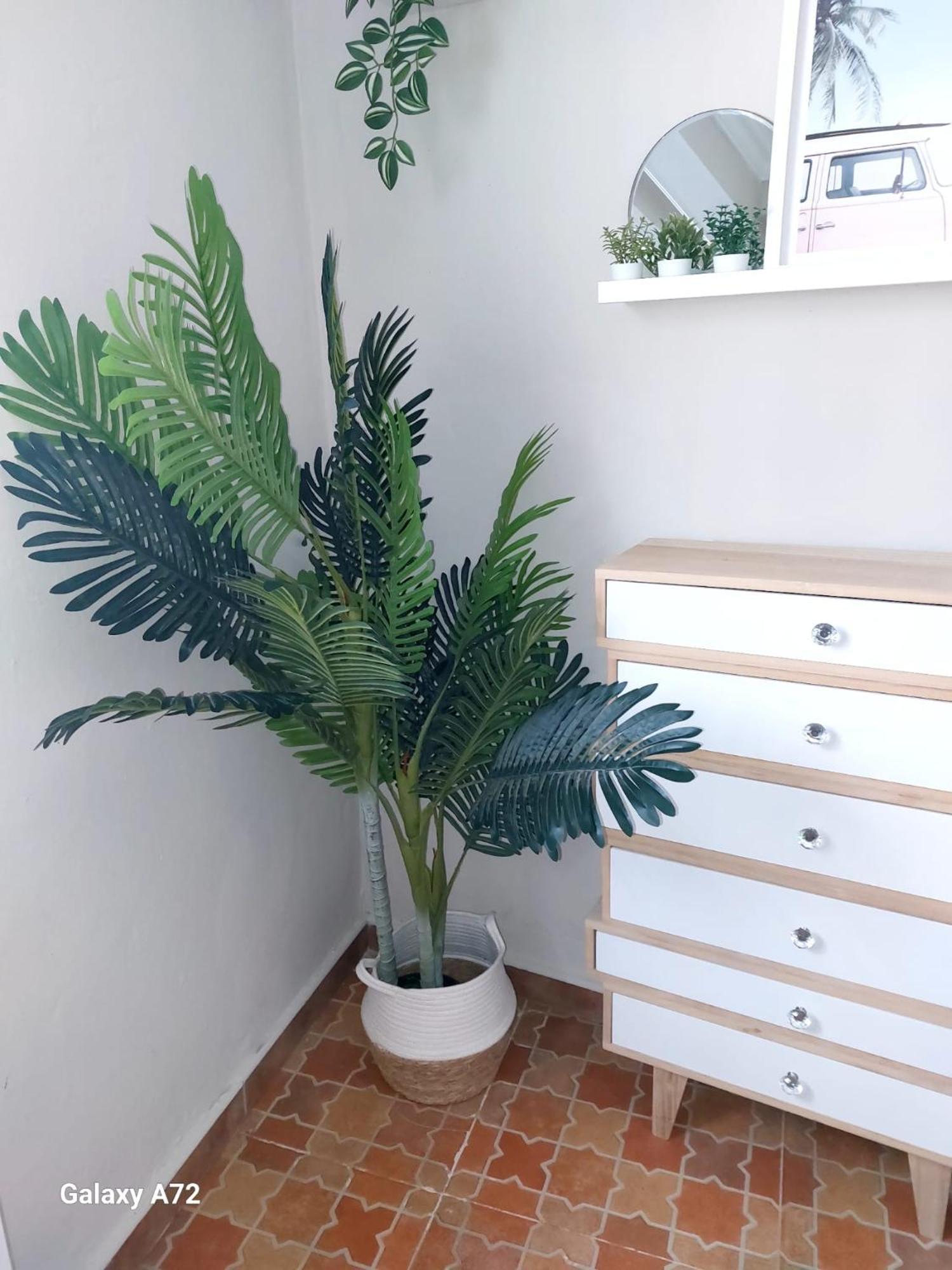 Regla Beach 150 M De La Playa 奇皮奥纳 外观 照片